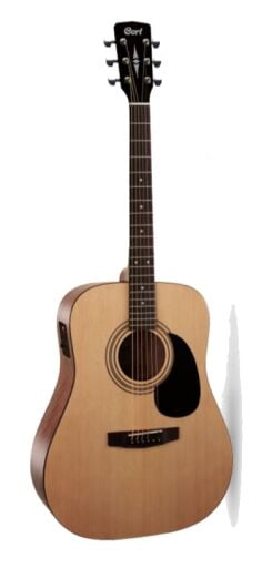 Elektro Akustik Gitarlar